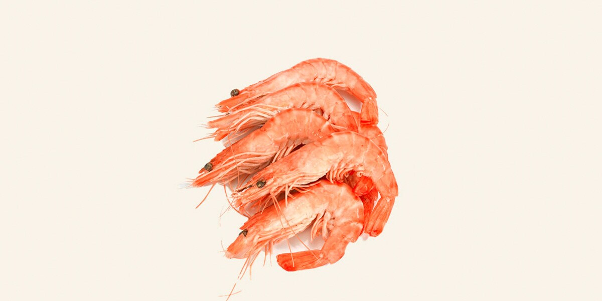 Langostino cocido ASC 20-30 pzas/kg Fresco