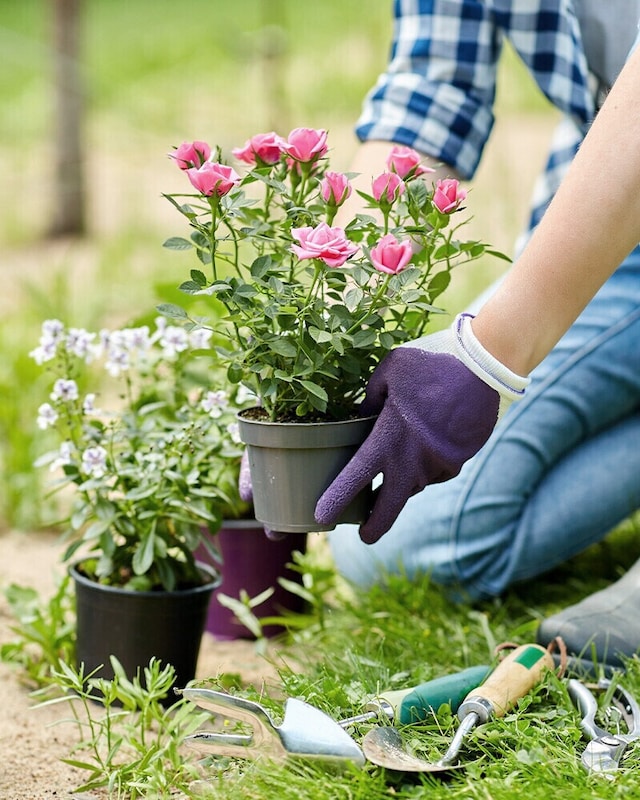 Bricolaje y jardín